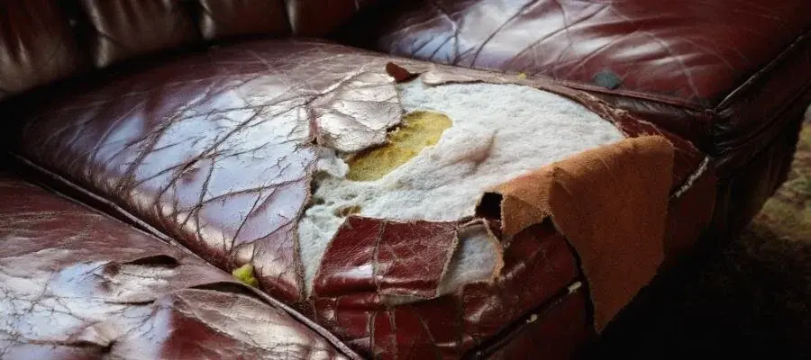 Damaged leather car seat with a torn and worn section on the seating surface.